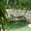 cenote-boca-del-puma-4b