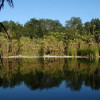 cenote-las-mojarras-6b