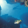diving-aquanauts-8b